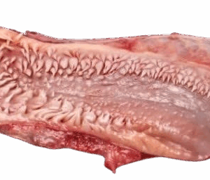 Labio De Res_Beef Lips (30 to 35 lb Case)